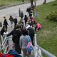 Tolmin 485